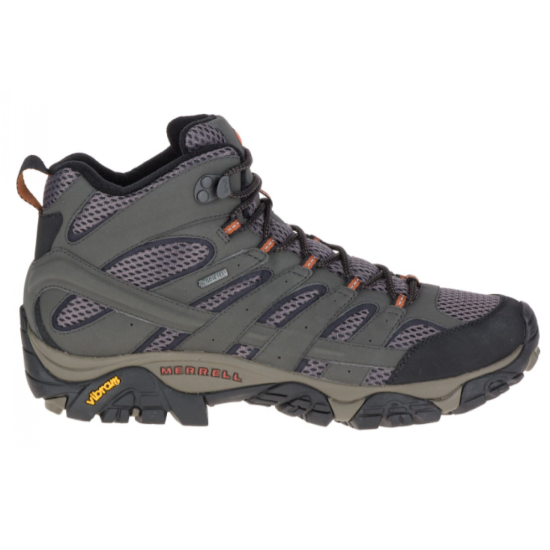 Mens Moab 2 Mid GTX Beluga