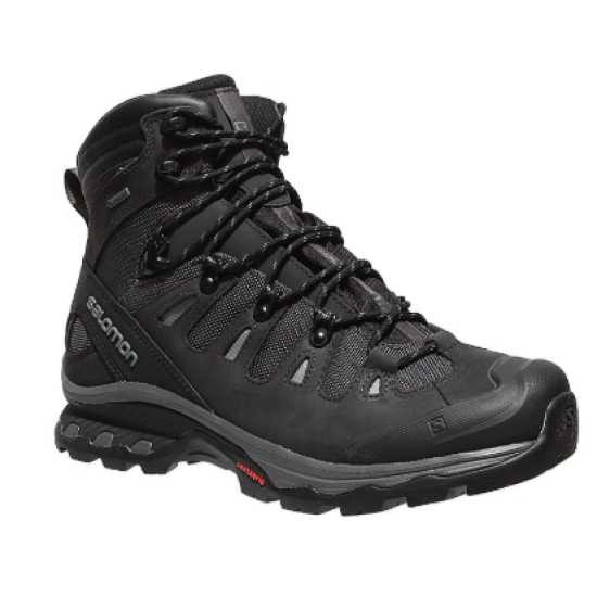 Mens Salomon Quest 4D GTX