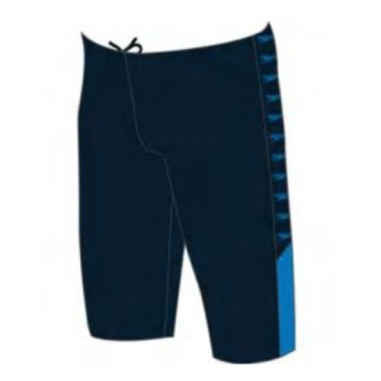 Mens Speedo Boom Logo Splice Jam