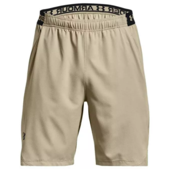 Mens UA Vanish Woven Shorts