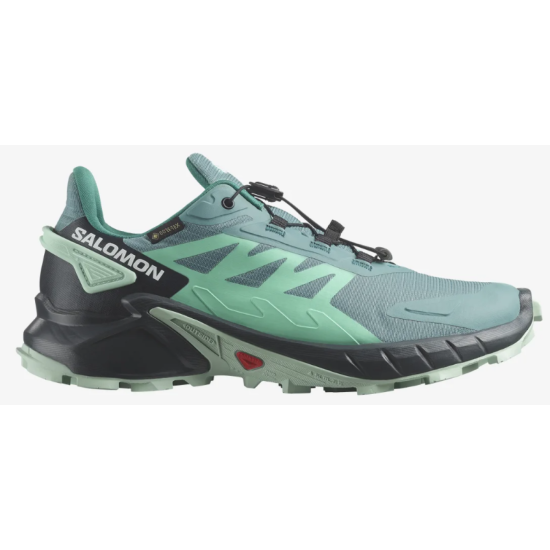 Wmns Salomon Supercross 4 GTX Dusty Turq